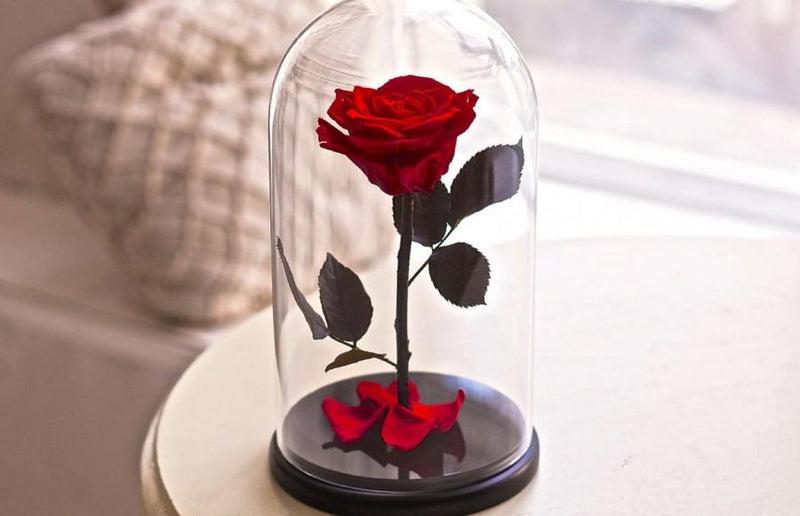 What is forever rose, eternal rose or preserved flower?
