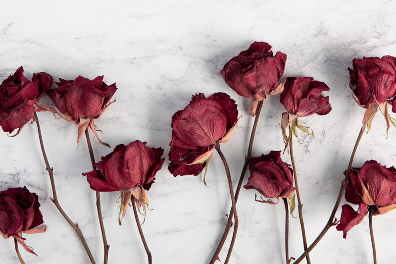 dried flowers red roses
