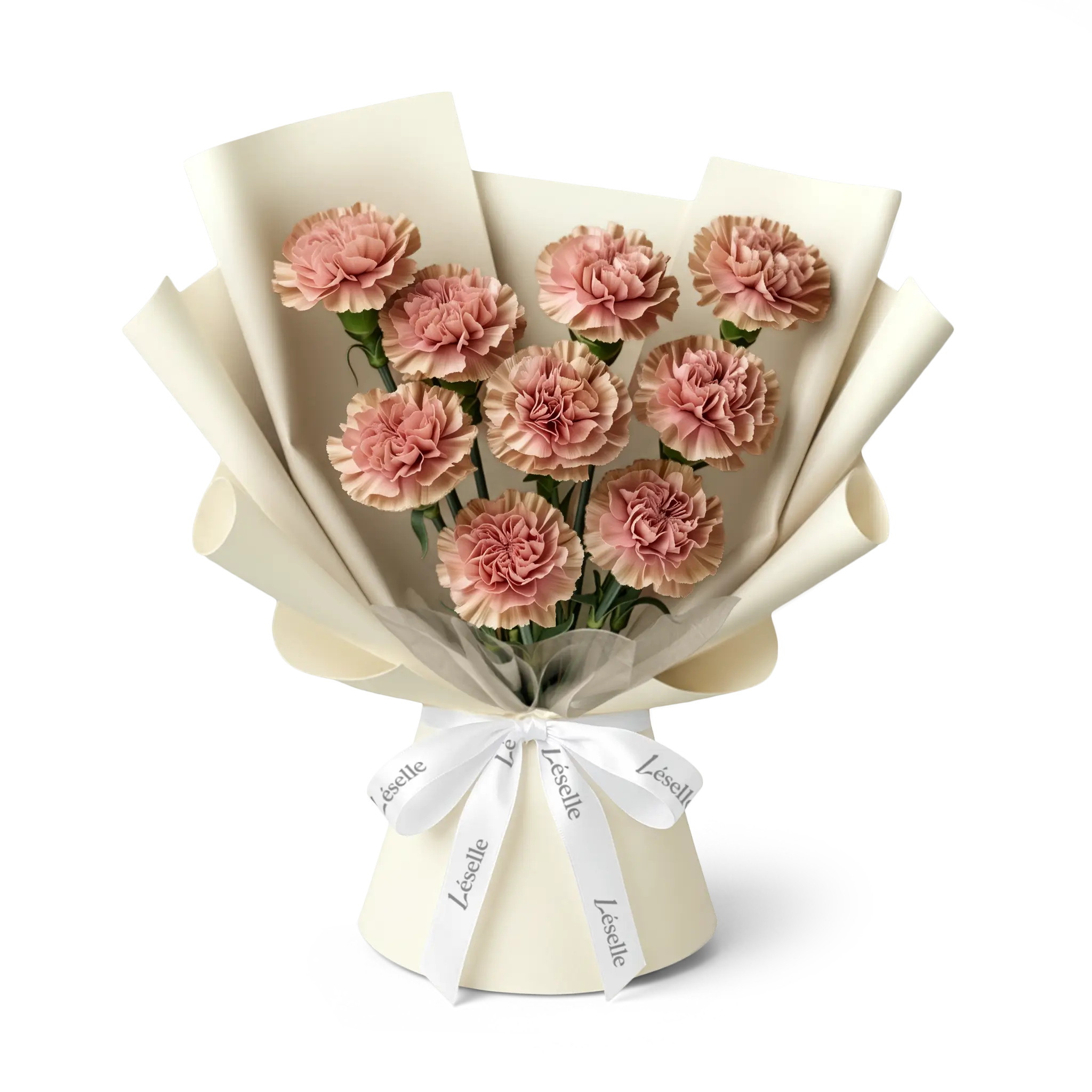 Bouquet of caramel carnations wrapped in off white paper with a white ribbon on a transparent background