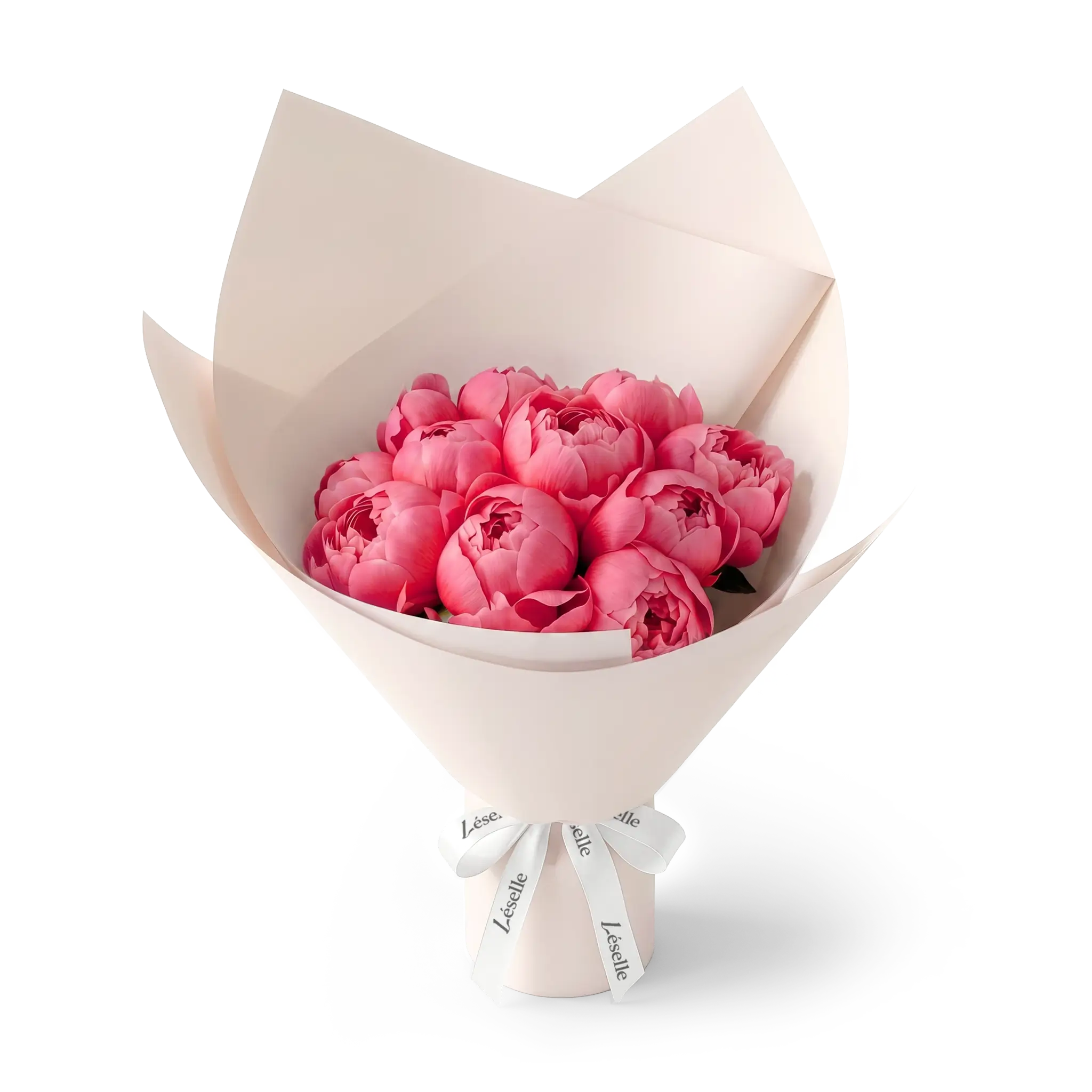 Bouquet of coral-charm peonies wrapped in pink paper with a white ribbon on a transparent background