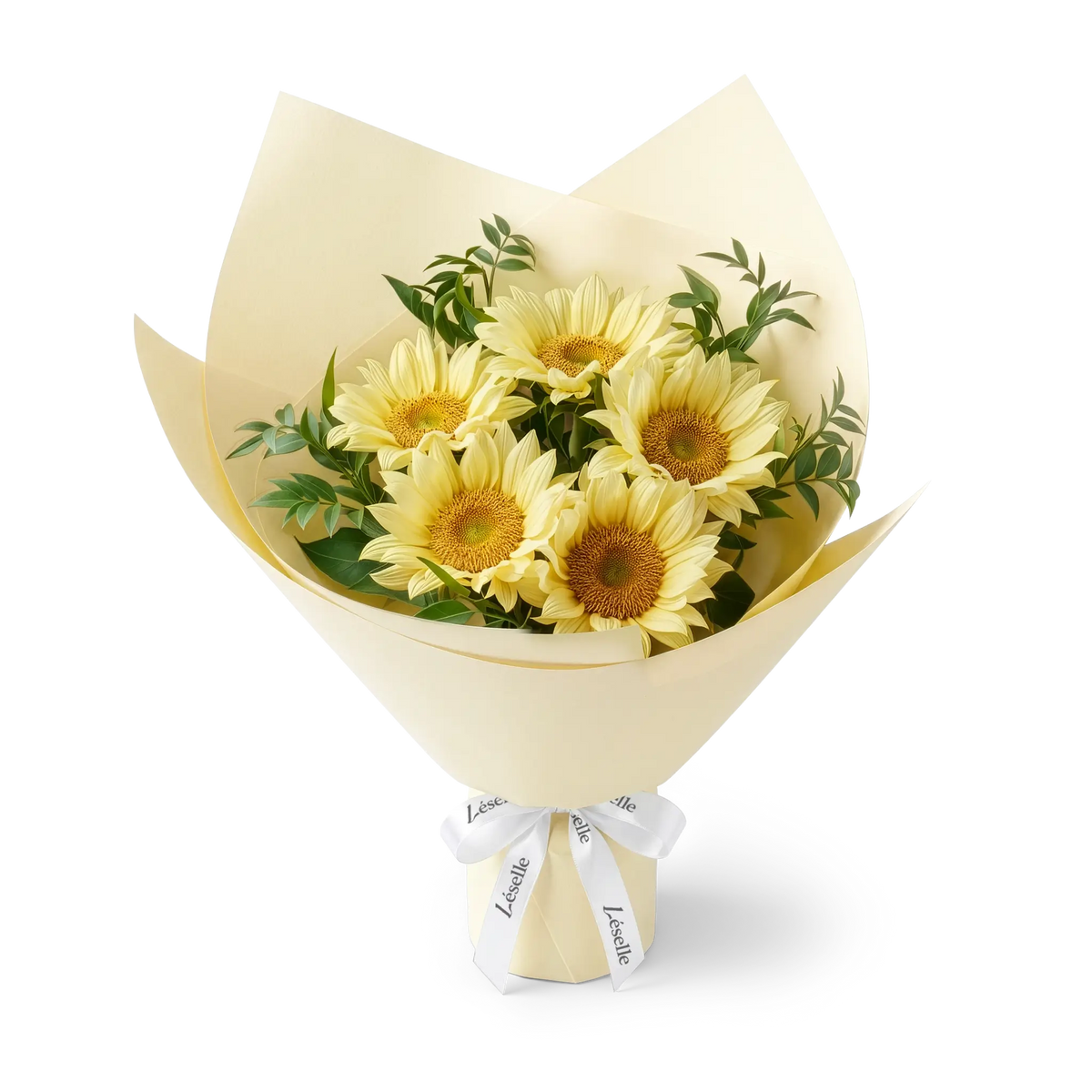 Bouquet of cream-colored sunflowers wrapped in pale yellow paper with a white ribbon on a transparent background