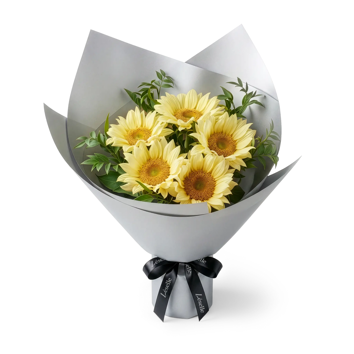 Bouquet of cream-colored sunflowers wrapped in silver paper with a black ribbon on a transparent background