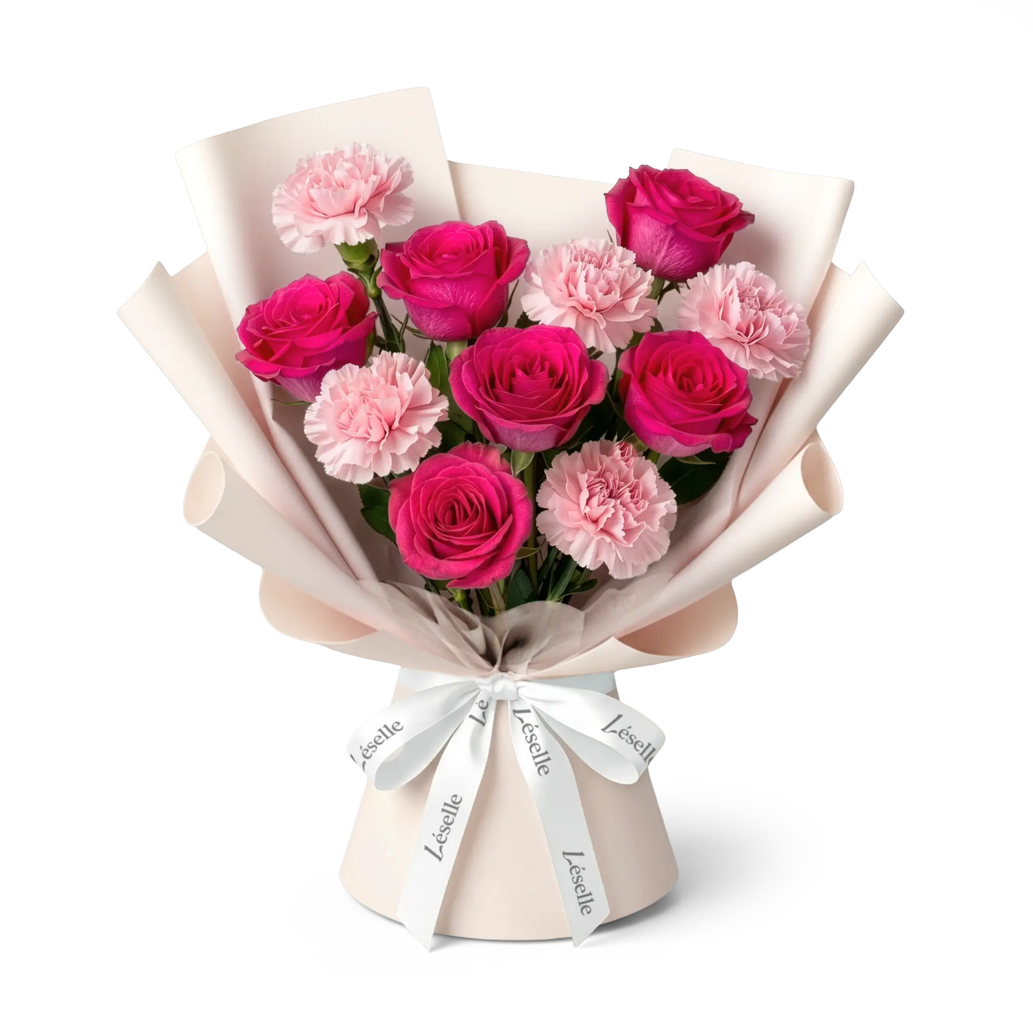 Bouquet of hot pink roses and blush carnations wrapped in nude chiffon pink paper with a white ribbon on a transparent background