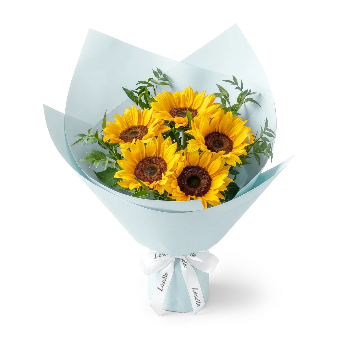 Bouquet of black-heart sunflowers wrapped in pale blue paper with a white ribbon on a transparent background
