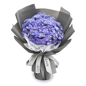 Fresh Flower Bouquet - Iris Purple Hydrangea (S)