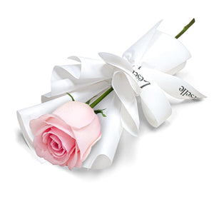 Fresh Flower Bouquet - Single Novia Pink Rose