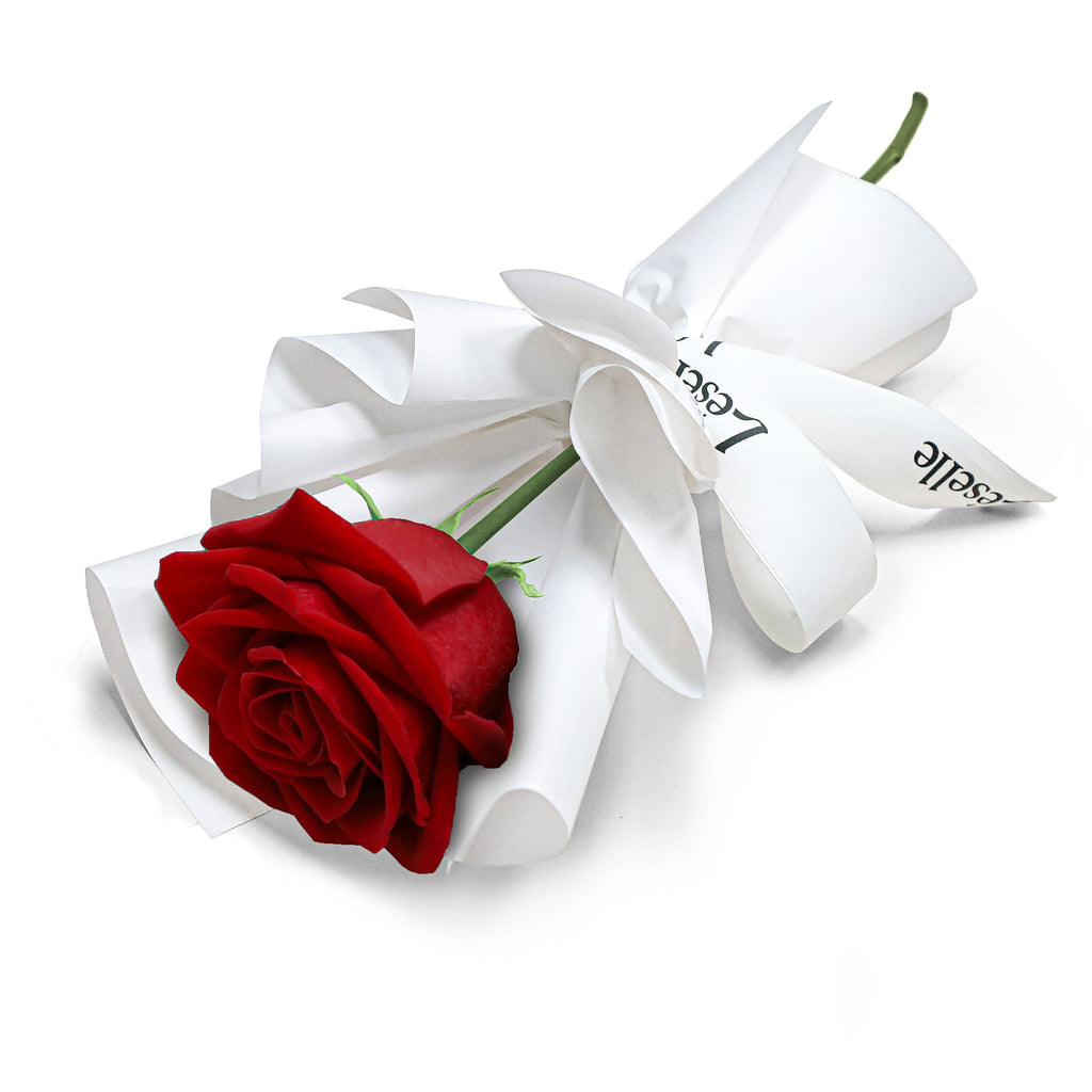 Fresh Flower Bouquet - Single Classic Red Rose (White Wrapper)