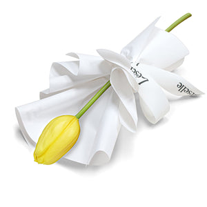 Fresh Flower Bouquet - Single Yellow Tulip